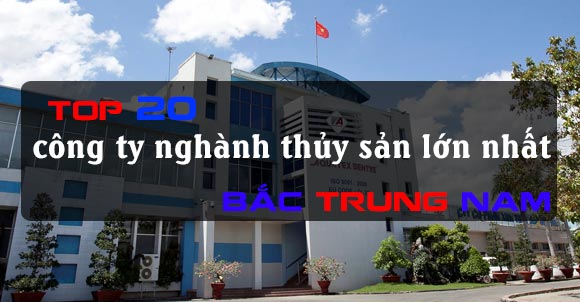 TOP 20 công ty nghành thủy sản lớn nhất Bắc Trung Nam