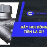 Khám phá cấu tạo bẫy hơi đồng tiền và vai trò quan trọng trong hệ thống hơi nóng