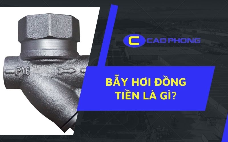 Khám phá cấu tạo bẫy hơi đồng tiền và vai trò quan trọng trong hệ thống hơi nóng