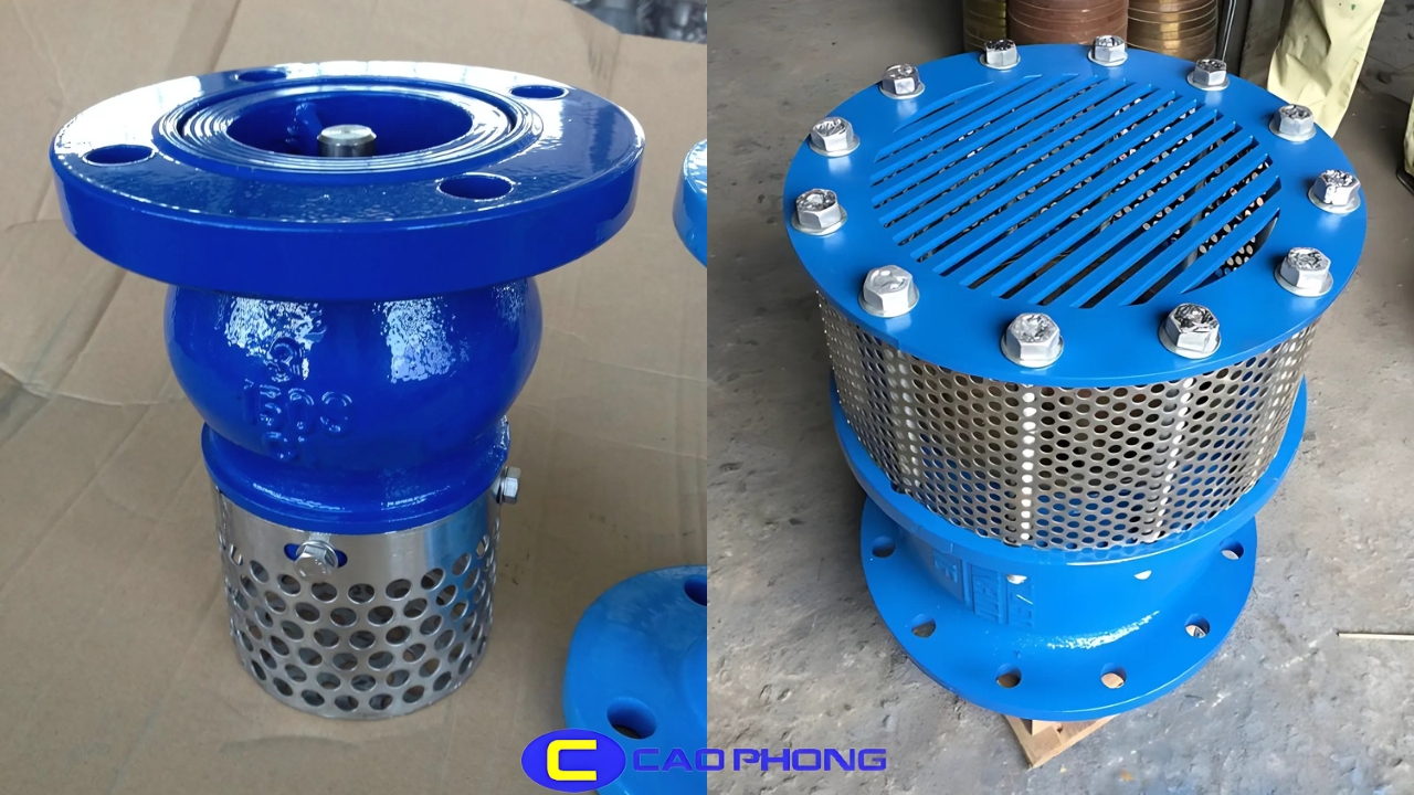Khám phá Foot valve là gì cùng với ứng dụng thực tế của rọ bơm nước trong bảo vệ máy bơm và hệ thống đường ốn