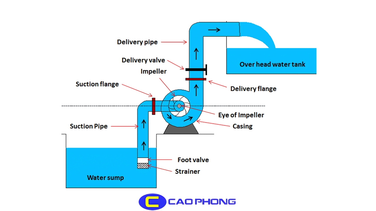 Tìm hiểu Foot valve là gì cùng nguyên lý hoạt động và cấu tạo cơ bản của rọ bơm nước