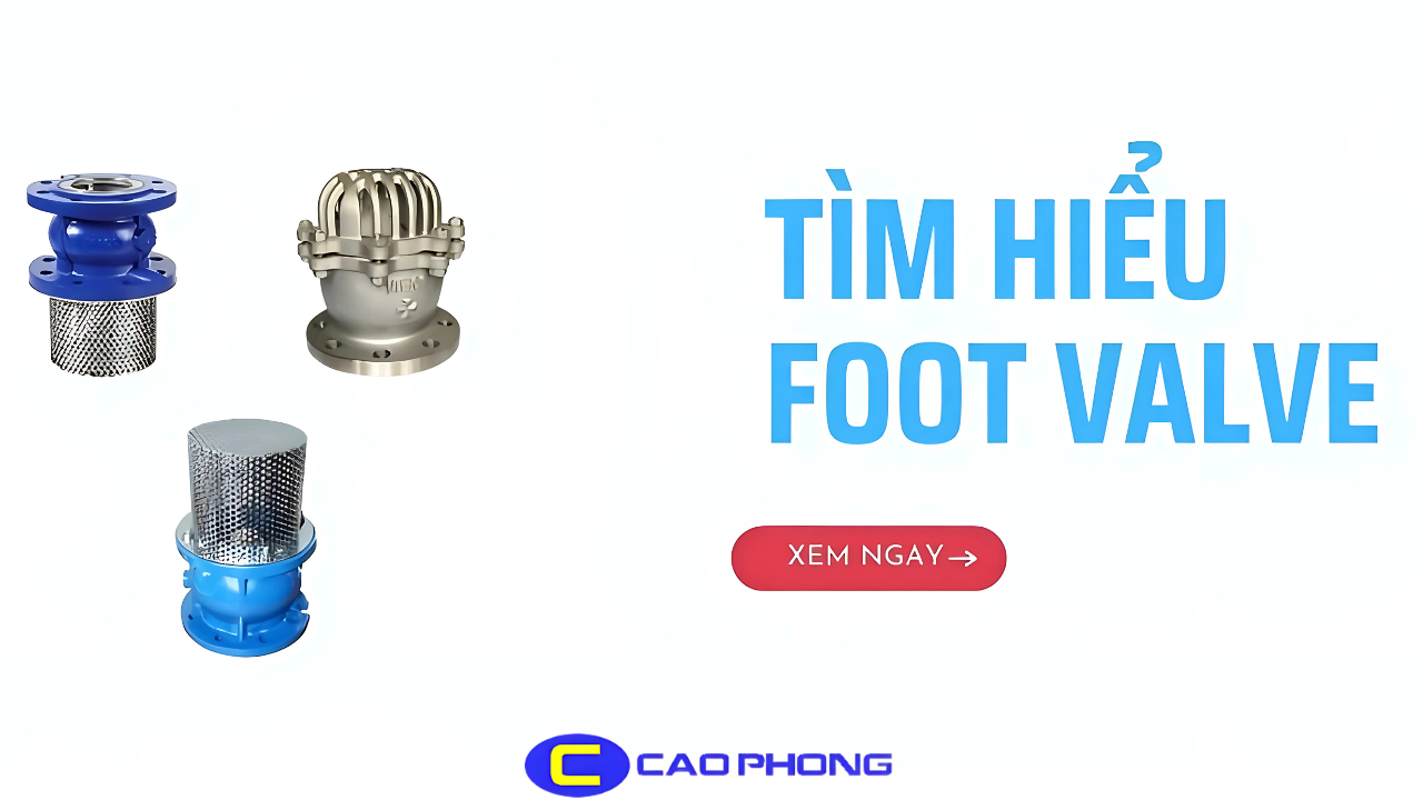 Bạn đang tìm hiểu foot valve là gì? Hình ảnh này sẽ giúp bạn có cái nhìn tổng quan