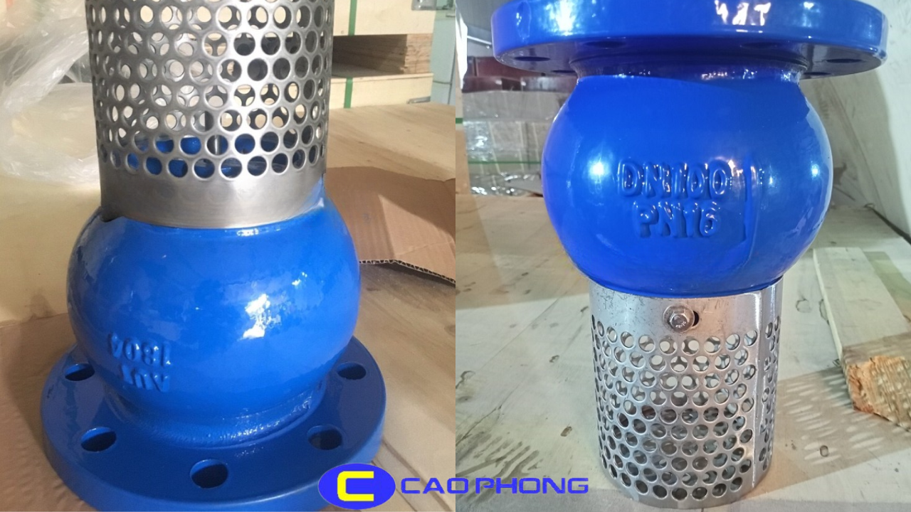Rọ Bơm Nước Gang Samwoo PN10/PN16 1 ro-bom-nuoc-gang-samwoo-pn10-pn16