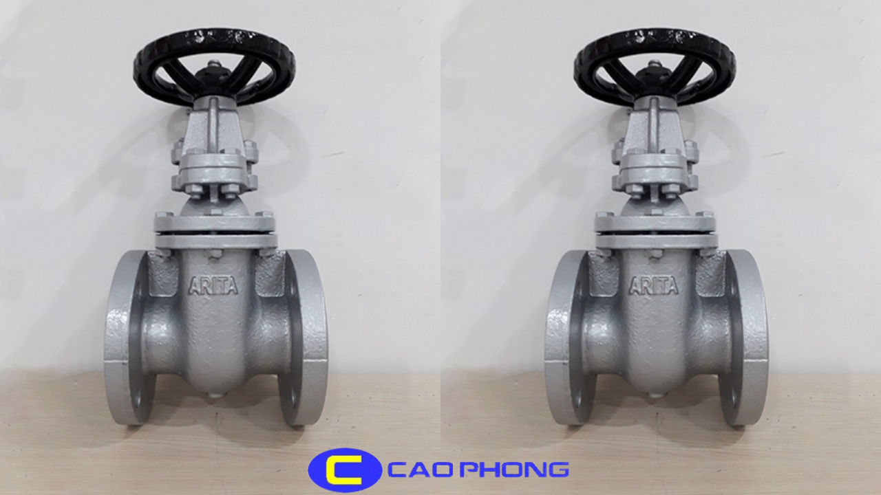 Van Cổng Ty Nổi Arita Model CG-R-J2 Nối Bích JIS 10K 1 van-cong-ty-noi-arita-model-cg-r-j2-noi-bich-jis-10k