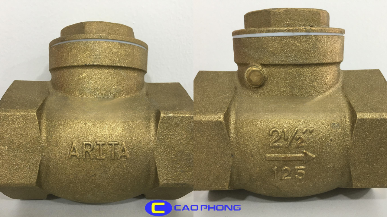 Van Một Chiều Đồng Lá Lật BRSC-S-125 - ARITA 1 van-mot-chieu-dong-la-lat-brsc-s-125-arita