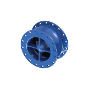 Van 1 chiều RINCO FIG 068BSR giúp ngăn dòng chảy ngược hiệu quả trong hệ thống đường ống công nghiệp