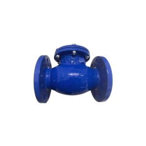 Van Một Chiều Lá Lật DN125 (Phi 140) Samwoo kích thước lớn dùng cho hệ thống công nghiệp nặng.