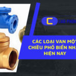 Các loại van một chiều thông dụng nhất – lựa chọn tối ưu cho hệ thống nước, khí và hơi.