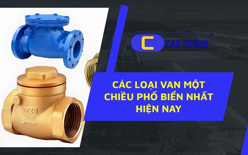 Các loại van một chiều thông dụng nhất – lựa chọn tối ưu cho hệ thống nước, khí và hơi.