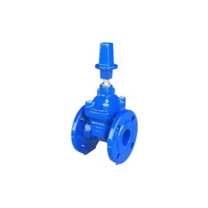 Giải pháp tối ưu cho công trình của bạn với Van Cổng Ty Chìm Nắp Chụp ARV Model NRG đạt chuẩn BS5163.