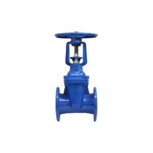 Khám phá chất lượng vượt trội của van cổng ty nổi ARV Model RGS đến từ Malaysia