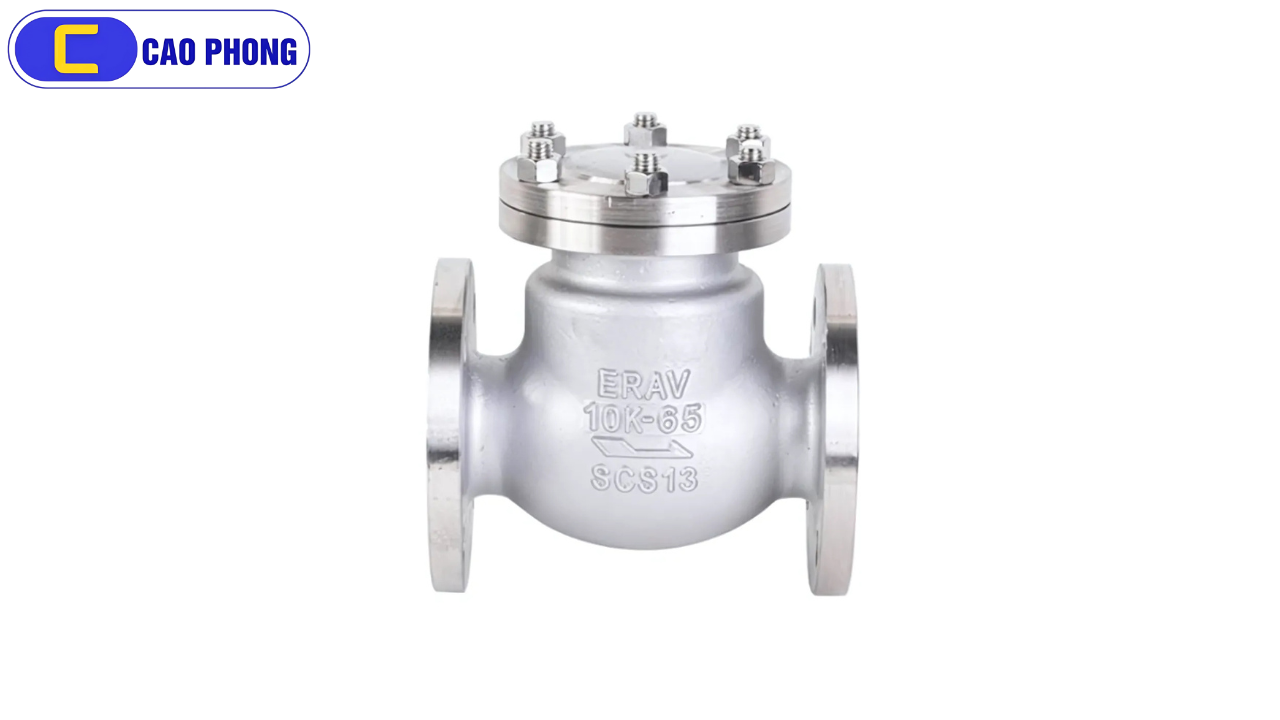 Tối ưu hiệu quả vận hành với Van 1 chiều thép bền bỉ và chắc chắn