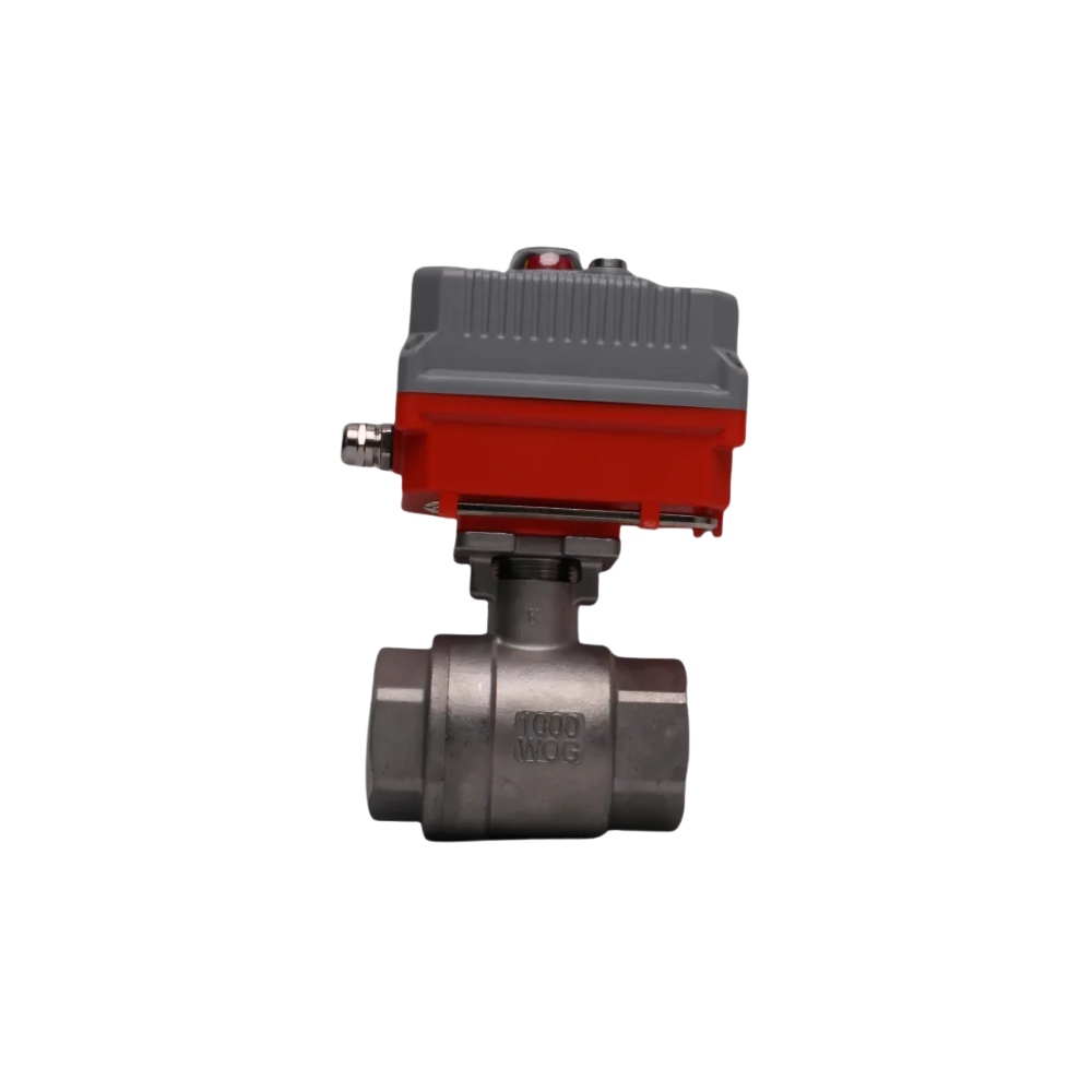 1000-23-2.png 1000-23-2.png