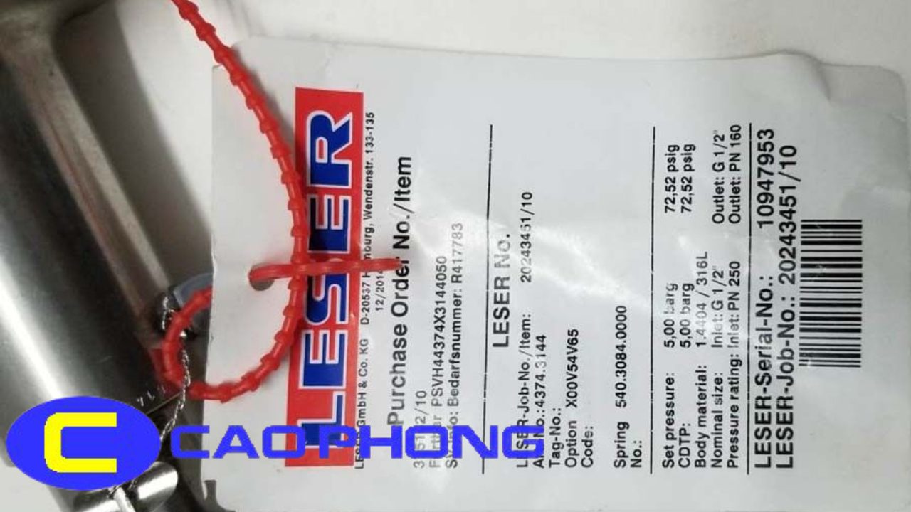 Van an toàn LESER 4374.3144 sử dụng vật liệu inox 316L cao cấp