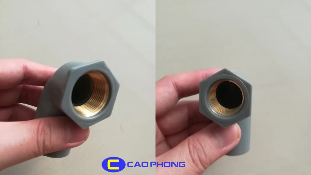co-ren-trong-dong-thau-finmax