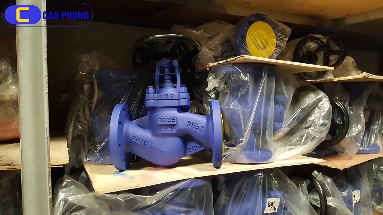 Toàn cảnh cấu tạo van cầu hơi BEIZE cho cái nhìn tổng thể về thiết kế và hoạt động