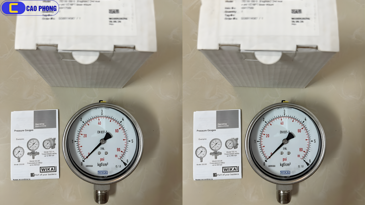 Giải pháp đo áp lực tin cậy với Đồng hồ đo áp suất WIKA 232.50.100 bottom 0 - 6kg cm²