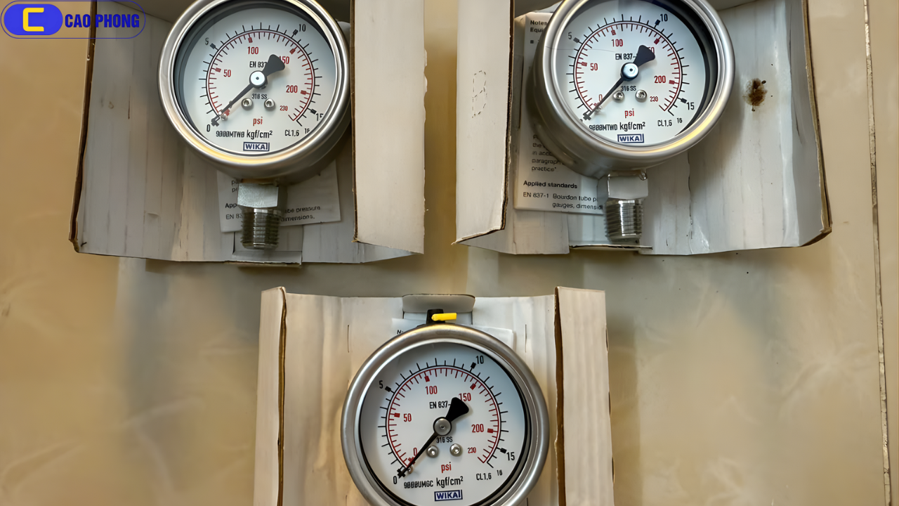 Hiệu suất đo áp lực ổn định với Đồng hồ đo áp suất WIKA 232.50.63 bottom 0 - 16 bar psi