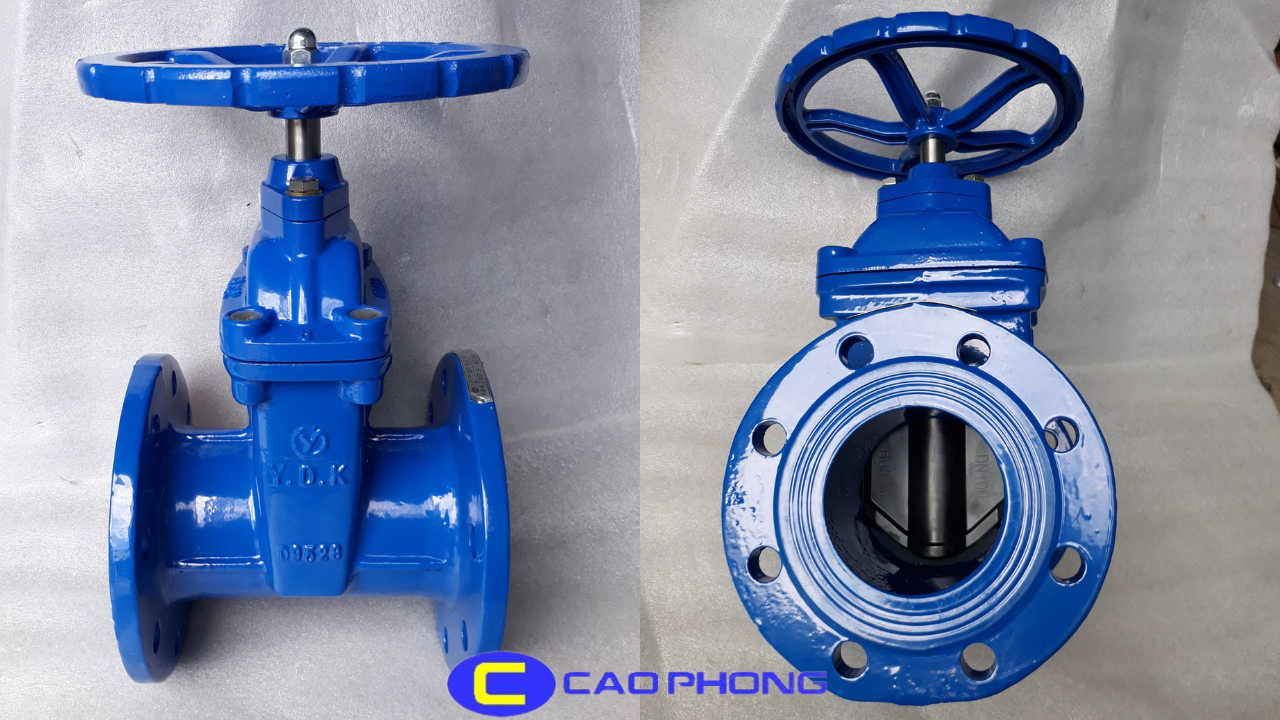 van-cong-ty-chim-canh-cao-su-ydk