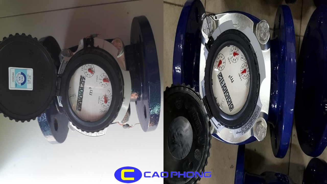 dong-ho-nuoc-lanh-wpd-sensus