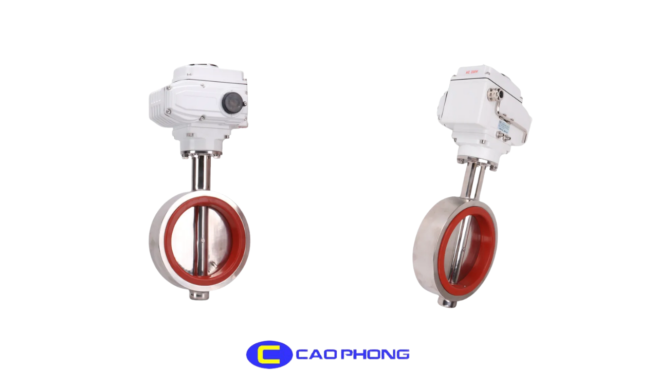 van-buom-vi-sinh-kieu-wafer-dieu-khien-dien-d971