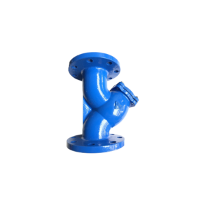 Lọc y gang nối bích Samwoo