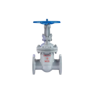 Van Cổng Z41H-16C Thép WCB