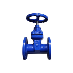 Van Cổng Gang DN50 (Phi60) Samwoo PN16