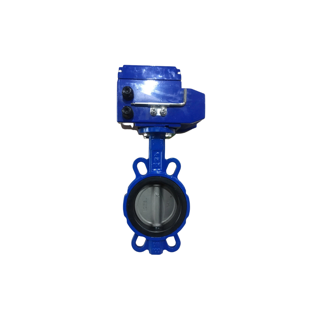 Van-buom-gang-dieu-khien-dien-SAMWON-DN100.png Van-buom-gang-dieu-khien-dien-SAMWON-DN100.png