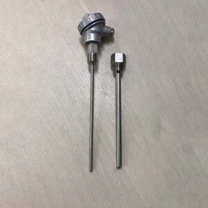 Cảm Biến Nhiệt Độ PT100 Heraeus