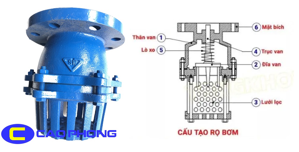 cau-tao-ro-bom-gang-noi-bich-samwoo