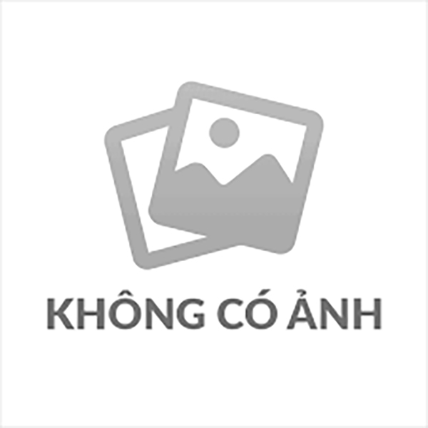 Bánh xe đẩy nhựa PA
