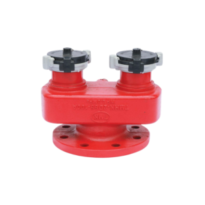 Họng tiếp nước chữa cháy hai cửa Tomoken