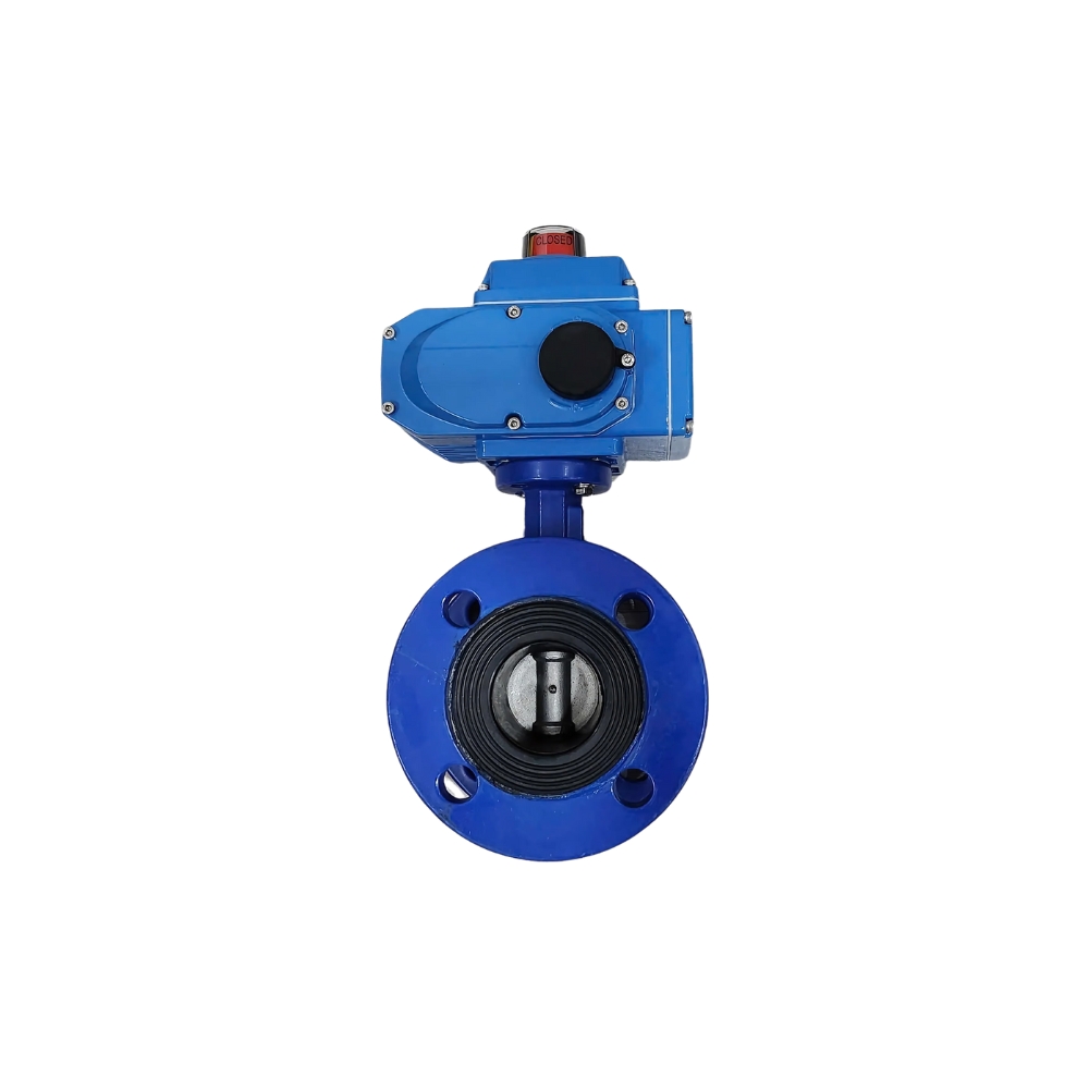 van-buom-mat-bich-dieu-khien-dien.jpg van-buom-mat-bich-dieu-khien-dien.jpg