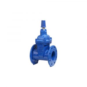 Van cổng ty chìm nắp chụp RVCX - Shinyi