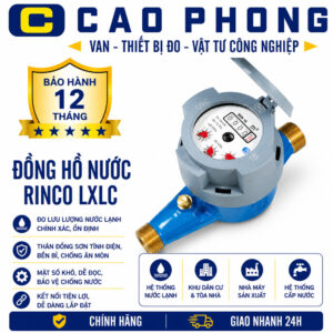 Đồng hồ đo nước thải Aichi MIB 15 DN15 phi 21 - Cao Phong