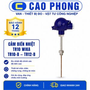 Cảm biến nhiệt WIKA TR10-B/TR12-B - Cao Phong