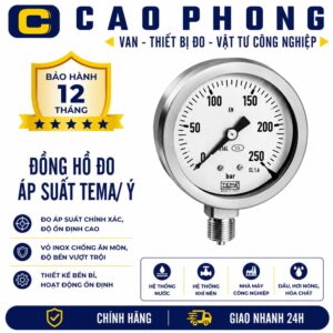 Đồng hồ đo áp suất TEMA Y - Cao Phong