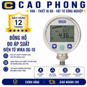 Đồng hồ đo áp suất điện tử WIKA DG-10 - Cao Phong