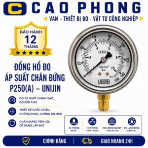 Đồng hồ đo áp suất chân đứng P250A Unijin - Cao Phong
