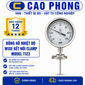 Đồng hồ nhiệt độ WISE kết nối clamp model T123 - Cao Phong