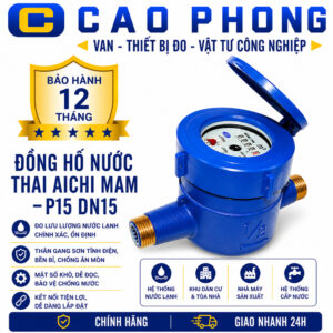 Đồng hồ đo nước thải Aichi MAM P15 DN15 - Cao Phong
