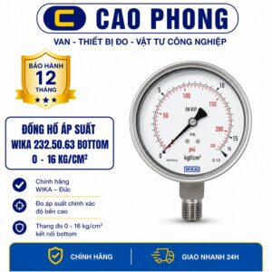 Đồng hồ áp suất WIKA 232.50.63 EN 837-1 - Cao Phong