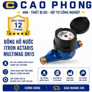 Đồng hồ đo nước Itron Actaris Multimag DN15 - Cao Phong