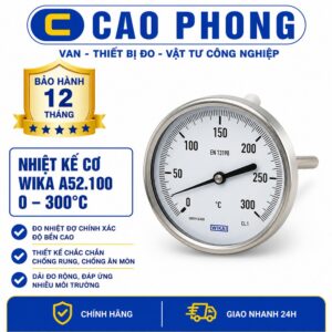 Đồng hồ đo nhiệt độ WIKA A52 300°C chân sau - Cao Phong