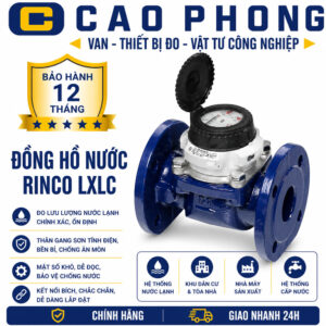 Đồng hồ đo nước Sensus WP Dynamic nối bích - Cao Phong