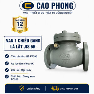 Van 1 chiều gang lá lật JIS 5K - Cao Phong