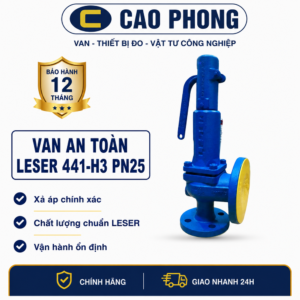 Van an toàn LESER 441 H3 PN25 hơi nóng - Cao Phong