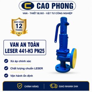 Van an toàn LESER 441 H3 PN25 hơi nóng - Cao Phong
