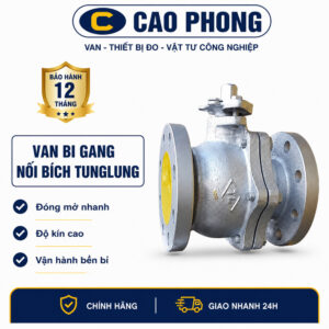 Van bi gang nối bích JIS10K Tunglung - Cao Phong